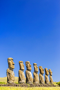 Seven Moai at Ahu Akivi, the first restored altar on Easter Island (Isla de Pascua) (Rapa Nui), UNESCO World Heritage Site, Chile, South America