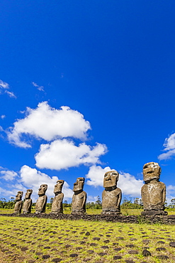 Seven Moai at Ahu Akivi, the first restored altar on Easter Island (Isla de Pascua) (Rapa Nui), UNESCO World Heritage Site, Chile, South America