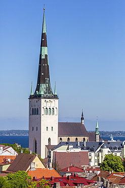 Elevated view of the walled part of Old Town, UNESCO World Heritage Site, in the capital city of Tallinn, Estonia, Europe