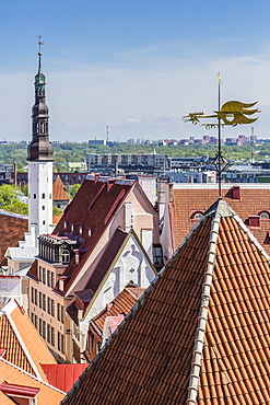 Aerial view of the walled part of Old Town, UNESCO World Heritage Site, in the capital city of Tallinn, Estonia, Europe