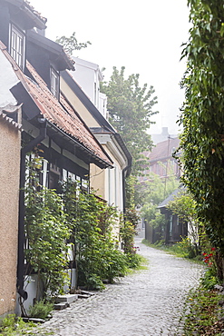 View of houses in the town of Visby, UNESCO World Heritage Site, Gotland Island, Sweden, Scandinavia, Europe