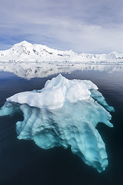 Glacial ice floating in the Neumayer Channel near Wiencke Island, Antarctica, Polar Regions