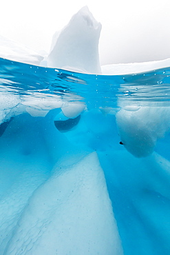 Above and below view of glacial ice in Orne Harbor, Antarctica, Polar Regions