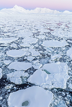 Transiting the Lemaire Channel in heavy first year sea ice, Antarctica, Polar Regionsboosted global saturation