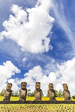 Moai at Ahu Akivi, the first restored altar, Rapa Nui National Park, UNESCO World Heritage Site, Easter Island (Isla de Pascua), Chile, South America