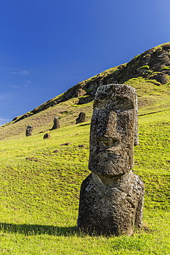 Moai sculptures in various stages of completion at Rano Raraku, the quarry site for all moai on Easter Island, Rapa Nui National Park, UNESCO World Heritage Site, Easter Island (Isla de Pascua), Chile, South America