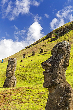 Moai sculptures in various stages of completion at Rano Raraku, the quarry site for all moai on Easter Island, Rapa Nui National Park, UNESCO World Heritage Site, Easter Island (Isla de Pascua), Chile, South America