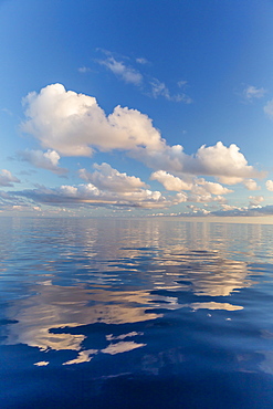 Reflected clouds in calm seas near the island of Deserta Grande, in the Ilhas Desertas, near Funchal, Madeira, Portugal, Atlantic, Europe