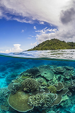 Half above and half below view of coral reef at Pulau Setaih Island, Natuna Archipelago, Indonesia, Southeast Asia, Asia