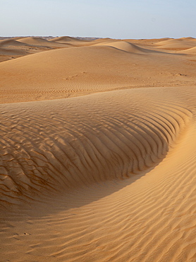 Sand dunes in the Ramlat Al Wahiba Desert, known locally as the Empty Quarter, Sultanate of Oman, Middle East