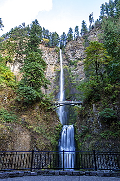 Multnomah Falls, the tallest waterfall in the state of Oregon at 620 ft. in height, Columbia River Gorge, Oregon, United States of America, North America