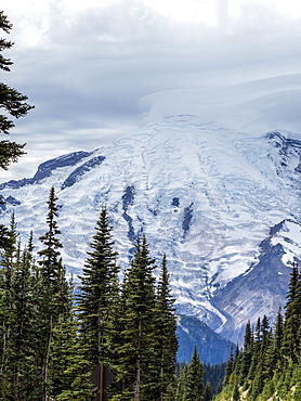 Early light on Mount Rainier from the Burroughs Mountain Trail, Mount Rainier National Park, Washington State, United States of America, North America