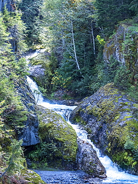 Waterfall in Lava Canyon, Mount St. Helens National Volcanic Monument, Washington State, United States of America, North America