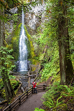 Waterfall on the Marymere Falls Trail, Quinault Rain Forest, Olympic National Park, UNESCO World Heritage Site, Washington State, United States of America, North America