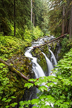 Waterfall on the Sol Duc Falls Trail, Sol Duc Valley, Olympic National Park, UNESCO World Heritage Site, Washington State, United States of America, North America