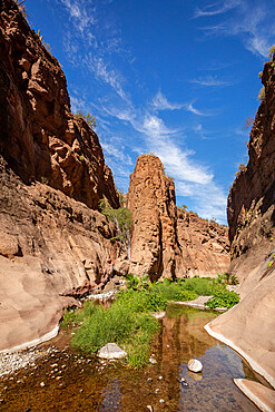 Fresh water in a slot canyon at Mesquite Canyon, Sierra de la Giganta, Baja California Sur, Mexico, North America