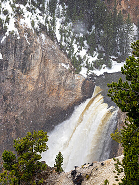 Yellowstone waterfall during a snowstorm in Yellowstone National Park, UNESCO World Heritage Site, Wyoming, United States of America, North America