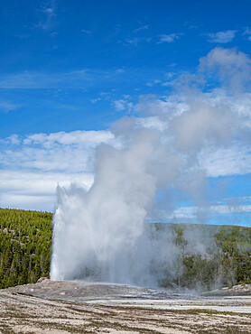 The cone geyser called Old Faithful erupting, Yellowstone National Park, UNESCO World Heritage Site, Wyoming, United States of America, North America