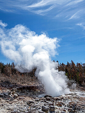 Steamboat Geyser, the worlds tallest active geyser, steaming in Yellowstone National Park, UNESCO World Heritage Site, Wyoming, United States of America, North America