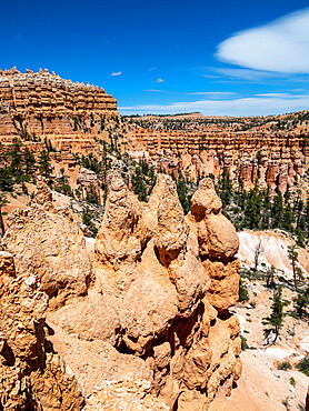 A view of the hoodoos from the Fairyland Trail in Bryce Canyon National Park, Utah, United States of America, North America