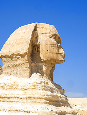 The Great Sphinx of Giza near the Great Pyramid of Giza, the oldest of the Seven Wonders of the World, UNESCO World Heritage Site, near Cairo, Egypt, North Africa Africa