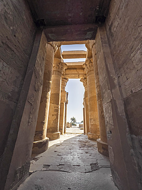 The Temple of Kom Ombo, constructed during the Ptolemaic dynasty, 180 BC to 47 BC, Kom Ombo, Egypt, North Africa, Africa