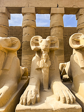 Ram-headed sphinx statues at Karnak, Karnak Temple Complex, UNESCO World Heritage Site, near Luxor, Thebes, Egypt, North Africa, Africa