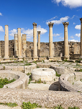 Columns in the ancient city of Jerash, believed to be founded in 331 BC by Alexander the Great, Jerash, Jordan, Middle East