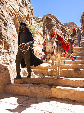 Donkeys on the path to The Petra Monastery (Al Dayr), Petra Archaeological Park, UNESCO World Heritage Site, one of the New Seven Wonders of the World, Petra, Jordan, Middle East