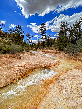 A stream running through the Mossy Cave Trail in Bryce Canyon National Park, Utah, United States of America, North America