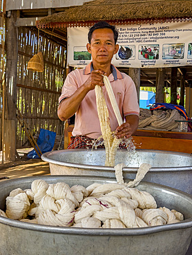 A man cleaning wool for dyeing in the small village of Angkor Ban, Battambang Province, Cambodia, Indochina, Southeast Asia, Asia