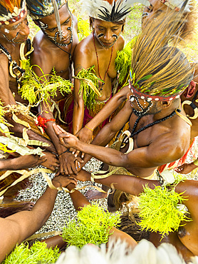 Six different groups of native warriors, drummers, and dancers perform on Kwato Island, Papua New Guinea, Pacific