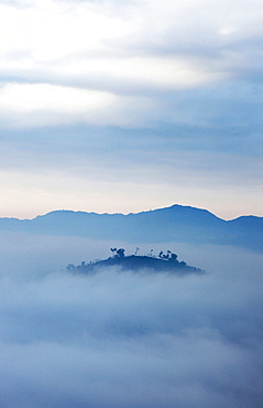 Mountain tops in the high fog at sunrise, Rueili, Alishan, Taiwan, Asia