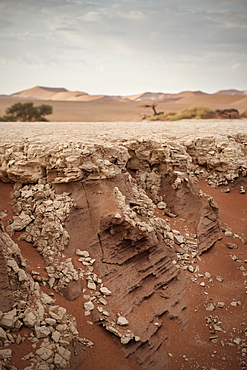 Detail of dried out soil at Dead Vlei, around Sossusvlei, Namib Naukluft National Park, Namibia, Namib desert, Africa