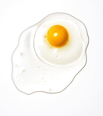 Raw egg on a white background, Food, Nahrung