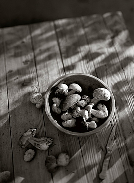 Porcini mushrooms in a bowl on a table, Food, Nutrition