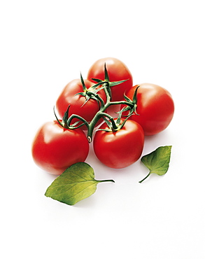 Red tomatoes on the vine, Vegetables, Food, Nutrition