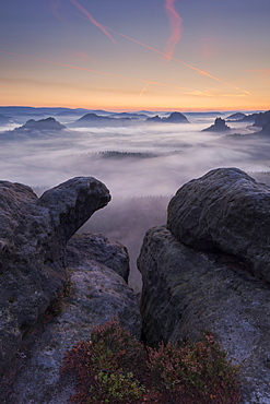 View from Gleitmannshorn over the small Zschand at dawn with rocks and blooming heather in the foreground, Kleiner Winterberg, National Park Saxon Switzerland, Saxony, Germany