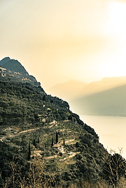 Sunrise in the mist, Tignale, Lake Garda, Alps, Lombardy, Italy