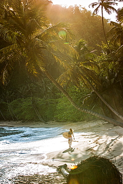 Young female surfer walking at the beach, Sao Tome, Sao Tome and Príncipe, Africa