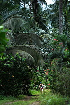 Young female surfer walking on a path through a forest, Sao Tome, Sao Tome and Príncipe, Africa