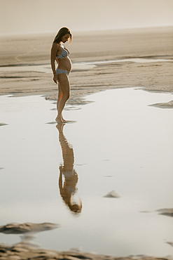 pregnant woman is standing on the beach in the evening light