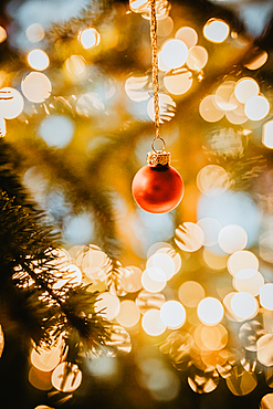 red bauble hangs on the illuminated Christmas tree, Christmas, family