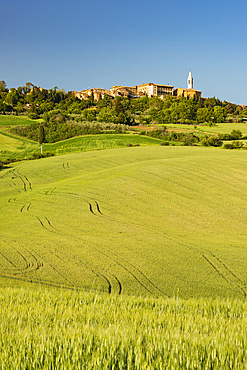 Landscape around Pienza, Val d'Orcia, Orcia Valley, UNESCO World Heritage Site, Province of Siena, Tuscany, Italy, Europe