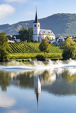 White church with tall steeple reflecting on a river with vineyards along sloped banks and blue sky, Kesten, Germany