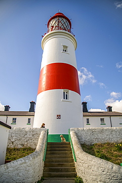 A woman with her dog at Souter Lighthouse, Marsden, South Shields, Tyne and Wear, England