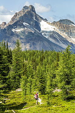 Female hiker on pathway in a mountain meadow with mountain, blue sky and clouds in the background, British Columbia, Canada