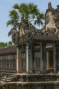 Stone entrance with palm at Angkor Wat, Siem Reap, Siem Reap Province, Cambodia