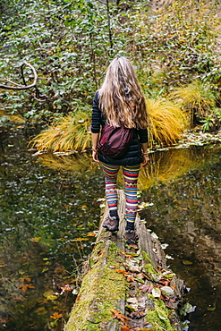 A woman walks across a log over a tranquil stream in autumn, California, United States of America