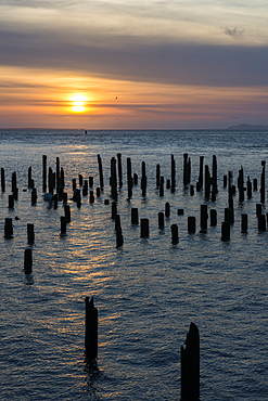 The sun sets over old pilings in the Columbia River, Astoria, Oregon, United States of America